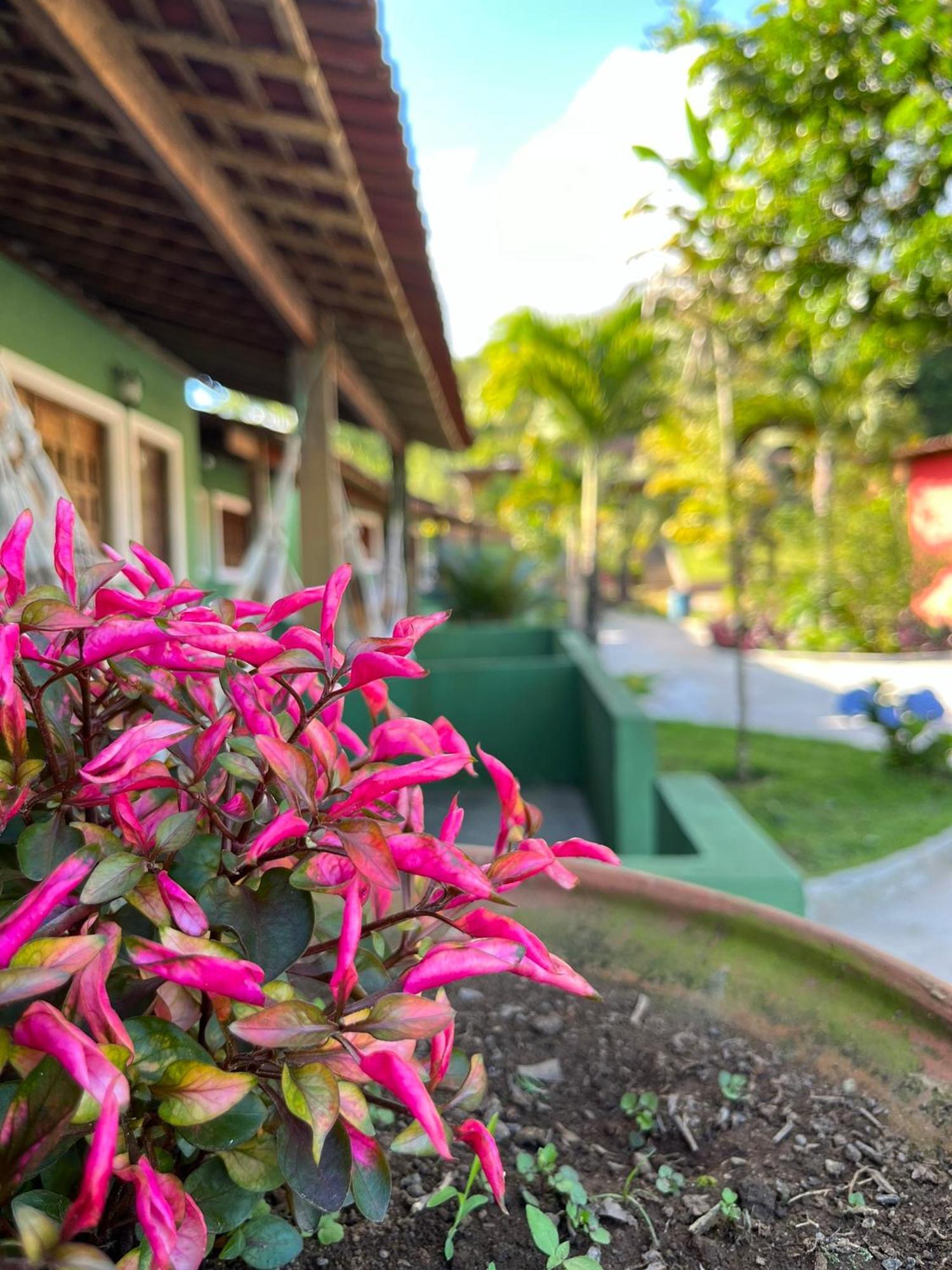Pousada E Restaurante Alto Da Serra Bonito  Esterno foto