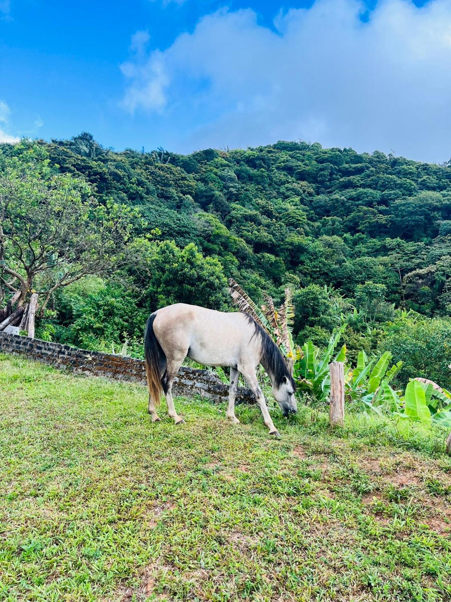 Pousada E Restaurante Alto Da Serra Bonito  Esterno foto